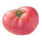 TOMATE ROSA BELLA 5KG